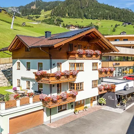 Apartment Schoene Ferienwohnung-grossarl